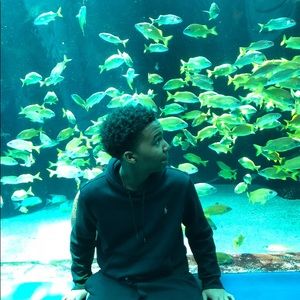 Meet your Posher, Anthony